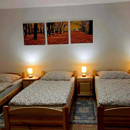 Magnólia štítnik * Otilia