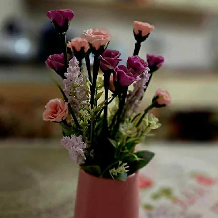 Magnólia štítnik *