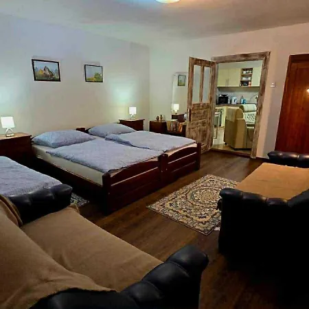 Magnólia štítnik Otilia