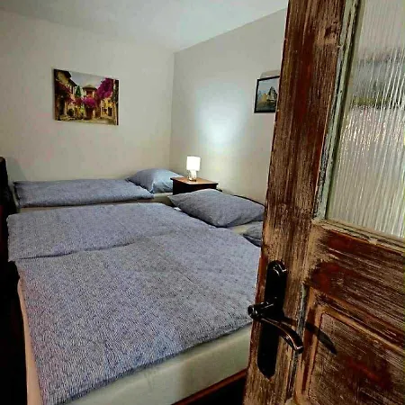 Magnólia štítnik Otilia