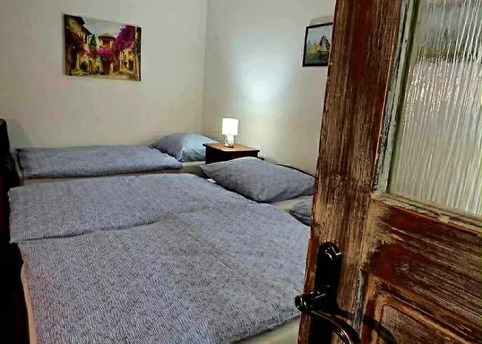 Magnólia štítnik Otília